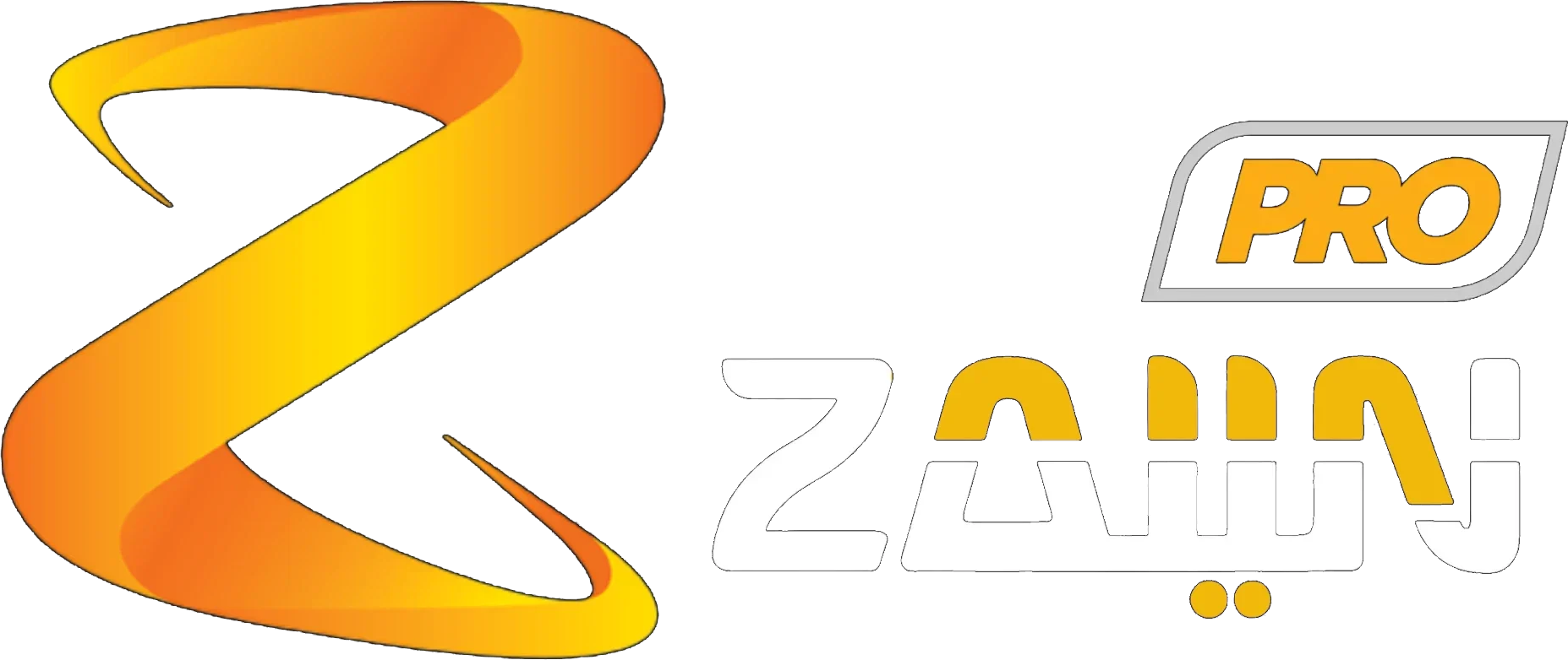 ZAIIN Pro logo